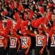 Georgia sports fans